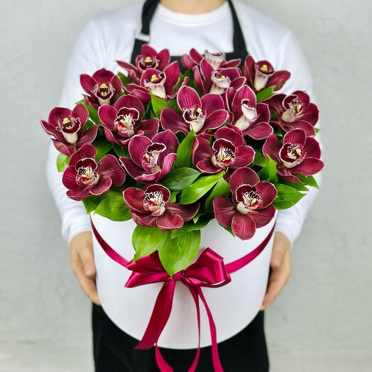 Коробка из 17 бордовых орхидей
