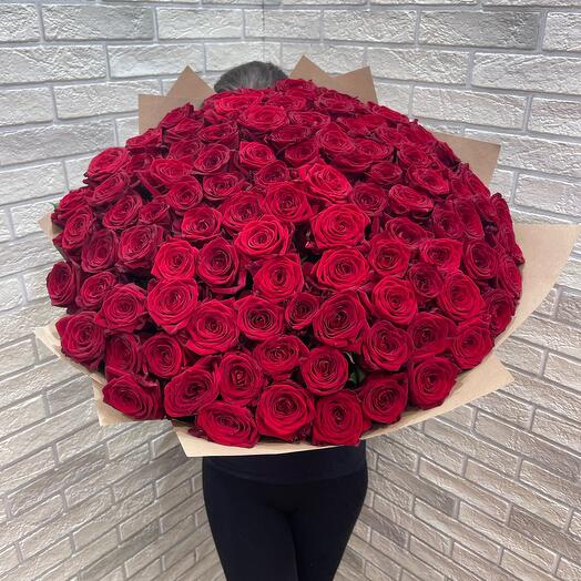 101 Roses Red