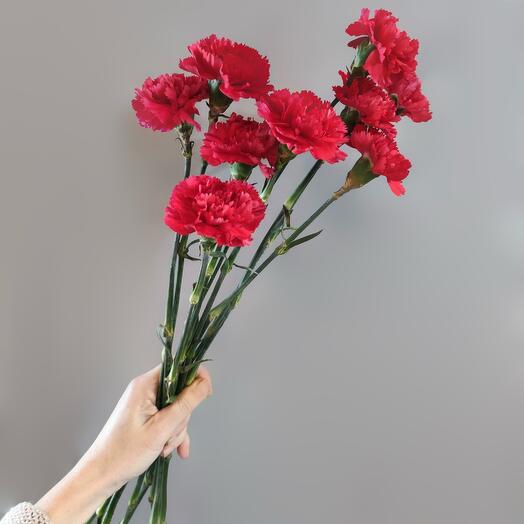 С Днём Победы