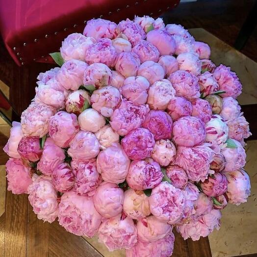 Bouquet of pink peonies 101