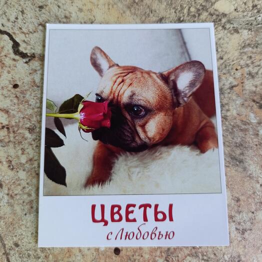 Открытка