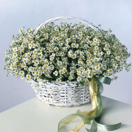 Корзина с ромашками