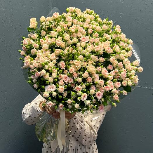 Bush roses 35