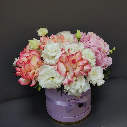 Hydrangea Box