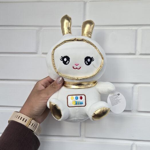 A soft toy bunny