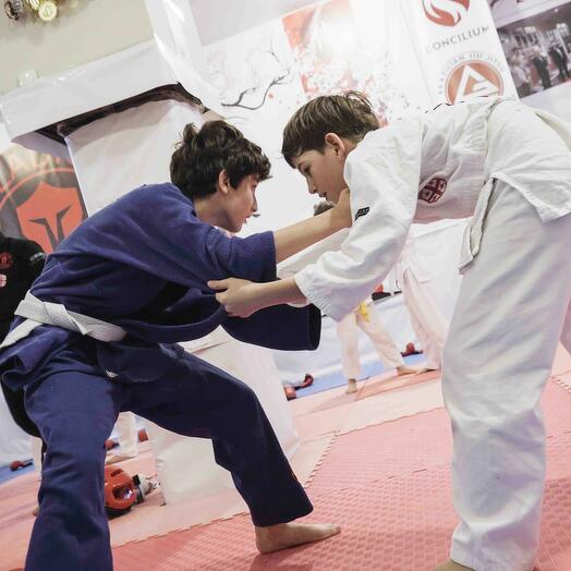 Джиу-джитсу и основы самообороны | Jiu-jitsu   Self-defence