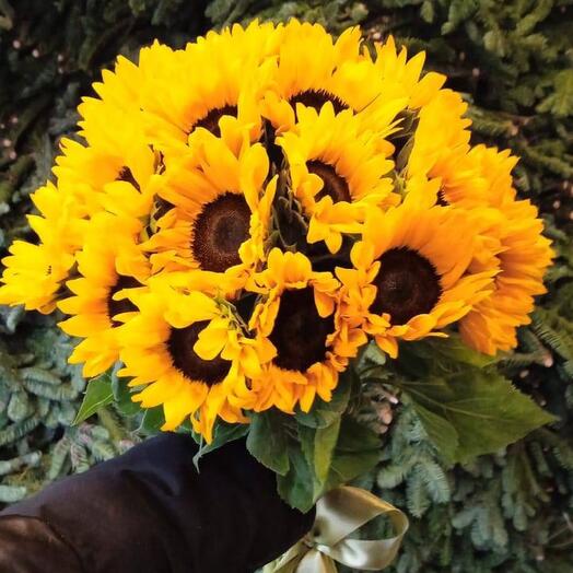 Букет из 19 подсолнухов