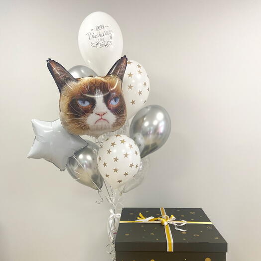 BalloonBox Gato Rabugento