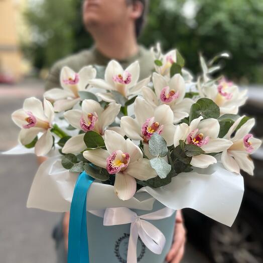 9 orchids in a box