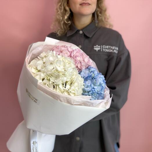 Букет из разноцветной гортензии