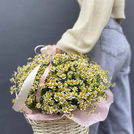 Корзина с ромашками