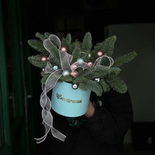 Қыстың сиқыры