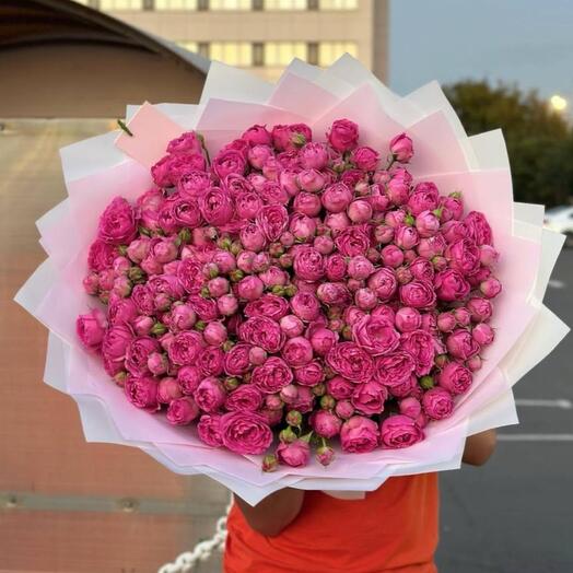 Bush Rose