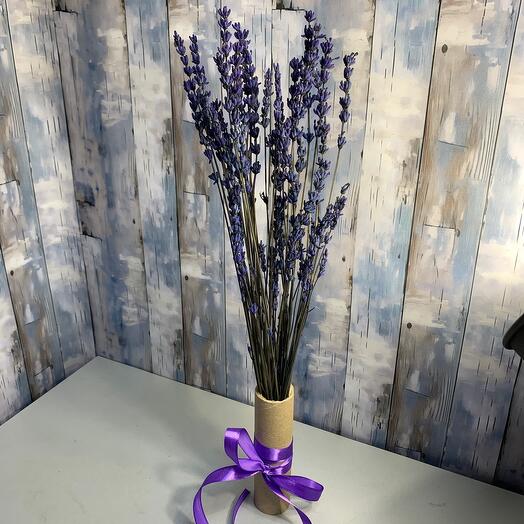 Лаванда стабилизированная