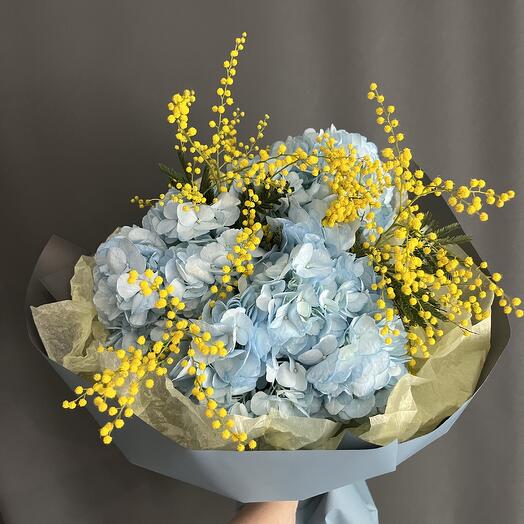 Мимоза и гортензия «Мороз и солнце»