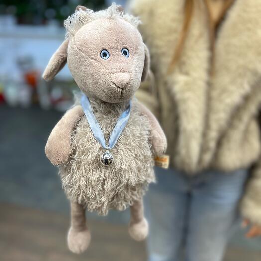 Cabrito