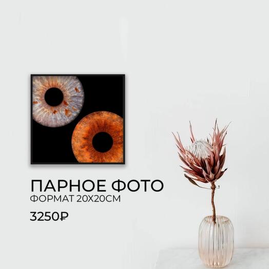 Сертификат на совместное фото радужек глаза 20х20