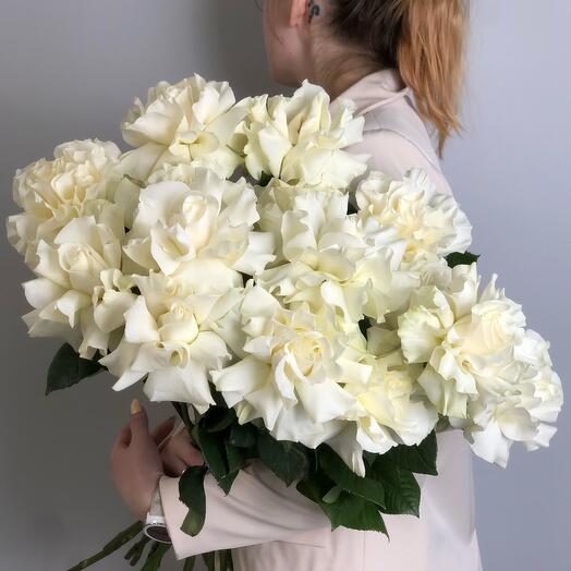 Букет "Бланко" (15 французских роз)