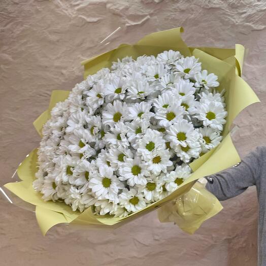 Букет из 25 ромашковых хризантем