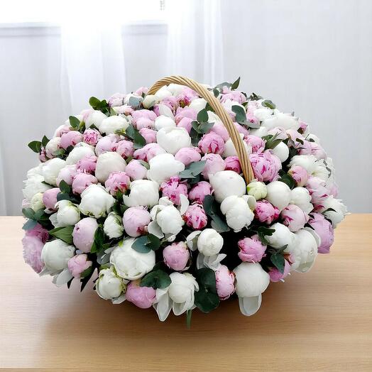 101 Peony Basket