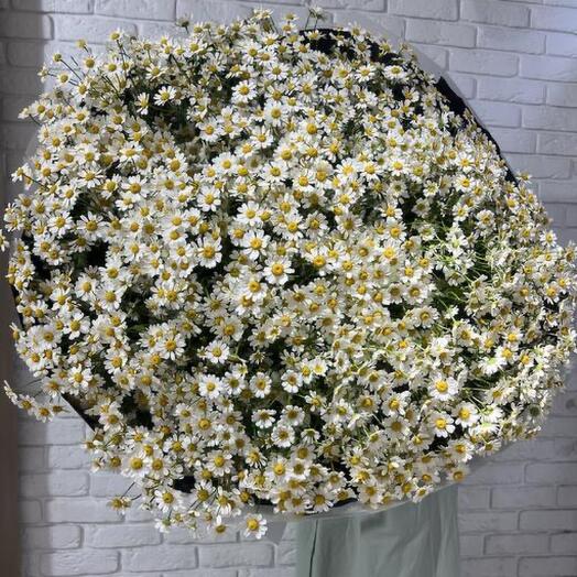 Bouquet of daisies