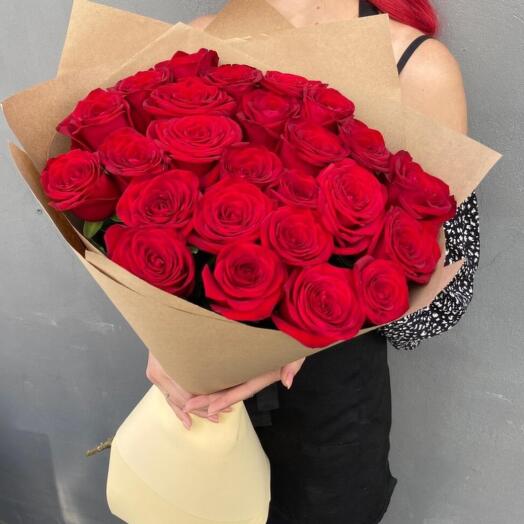 Розы ехплорер 25 шт