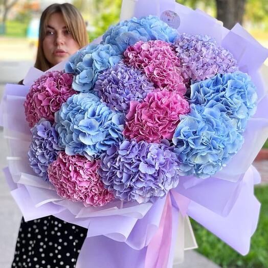 Букет из 15 Голландских Гортензий