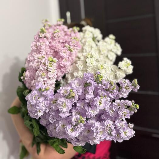 Букет ароматных матиолл