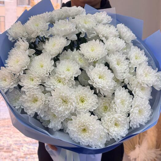 Хризантемы алтай