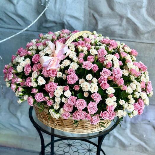 101 Кустовая Роза