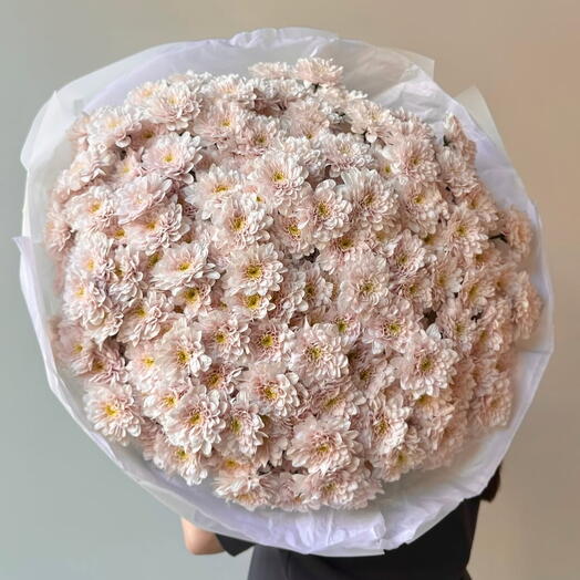 Хризантема 🌸