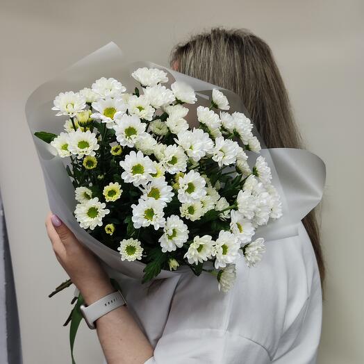 Сантини светлые