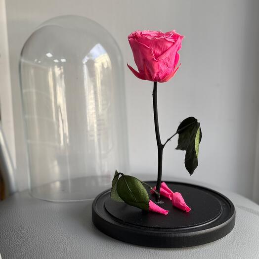 Rose in a premium flask