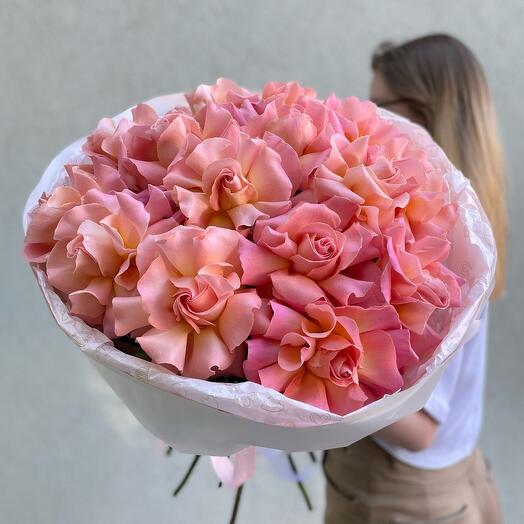 Роза Hermosa 15