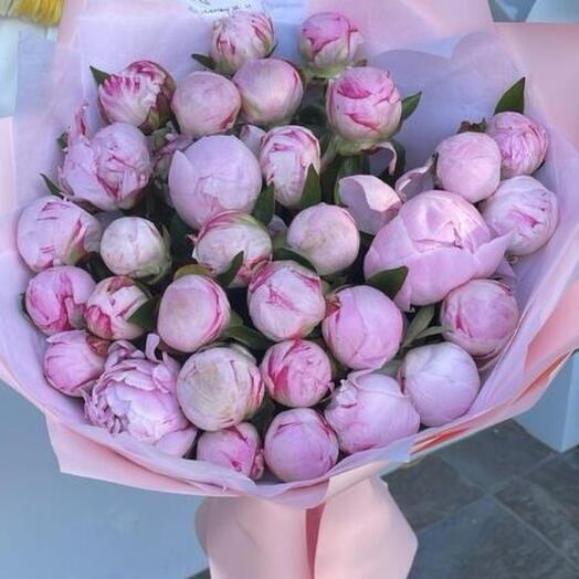 Пионы розовые 31 шт