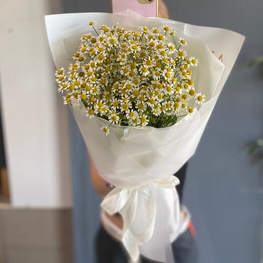 Легкий букетик полевых ромашек