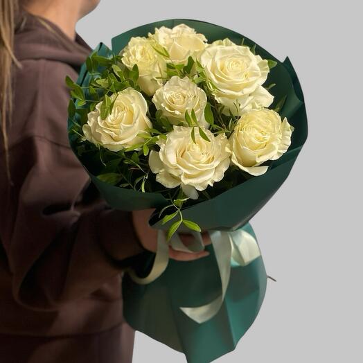 Bush rose 50 cm