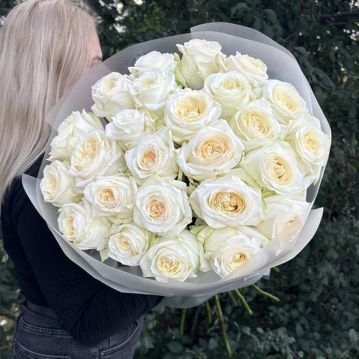 Букет Стойких Пионовидных Роз 25 😍💕💗