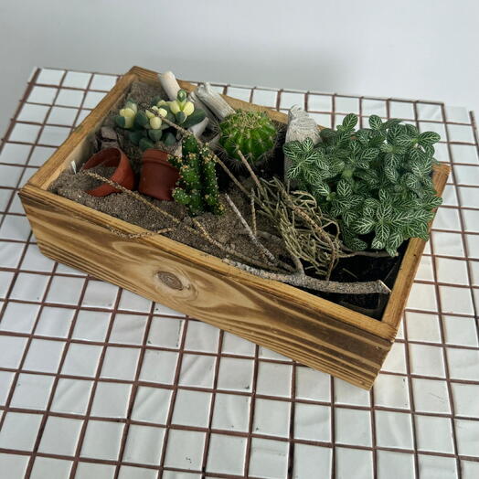 Мини-сад в ящике