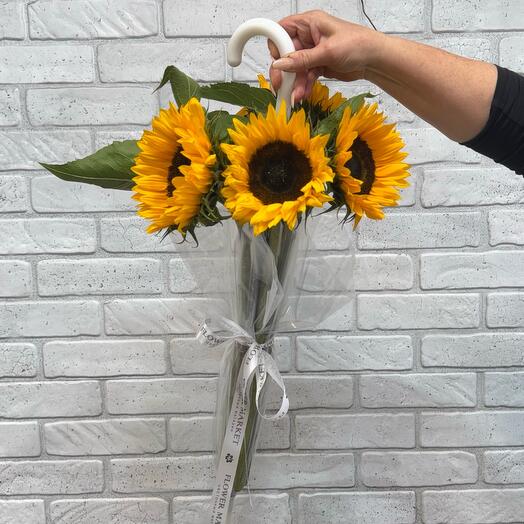 Подсолнух в зонтике