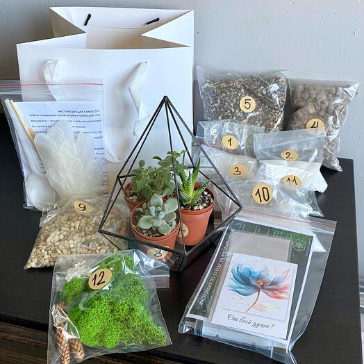 Набор для самостоятельной сборки флорариума - подарок на день рождения