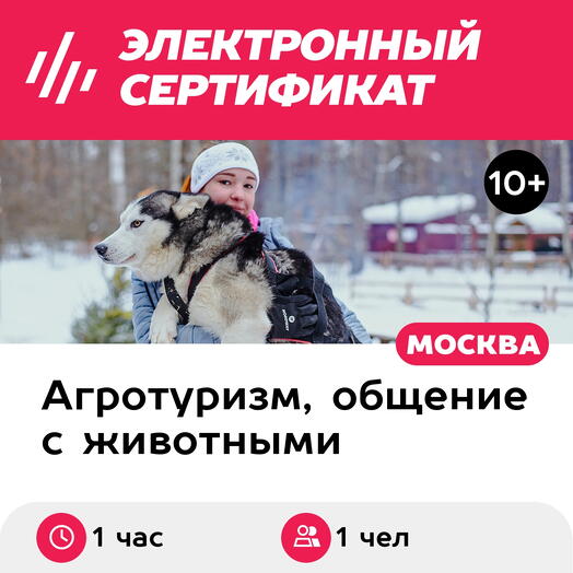 Подарочный сертификат Дог-трекинг, прогулка с собакой по лесу, 1 чел. (1 час) (Московская область)