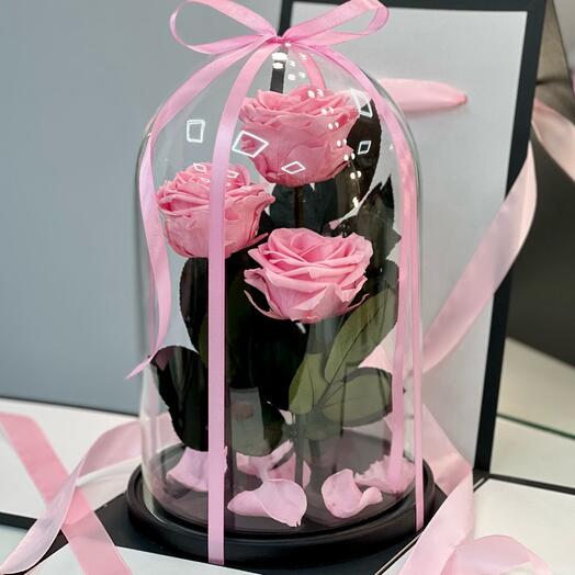 Trio "VIP" soft pink roses in a flask in a gift box / 32 cm
