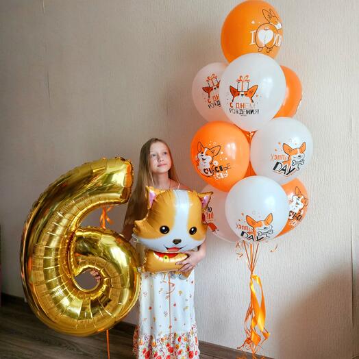 Воздушные шары с собачками корги на день рождения 6 лет ребёнка, дочки,сына -12шаров