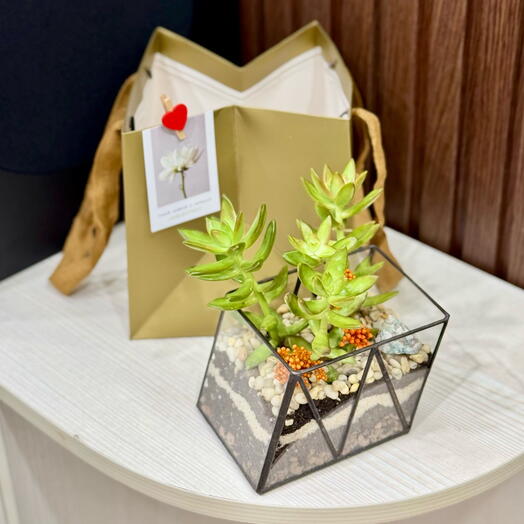 Подарок для любимой девушки