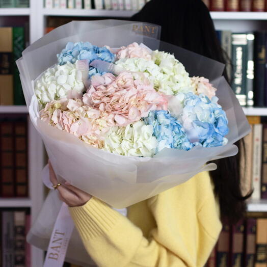 11 гортензий