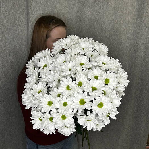 Букет из 9 кустовых ромашек(хризантем)