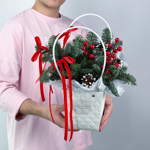 Зимняя красная сумочка из нобилиса с бархатом