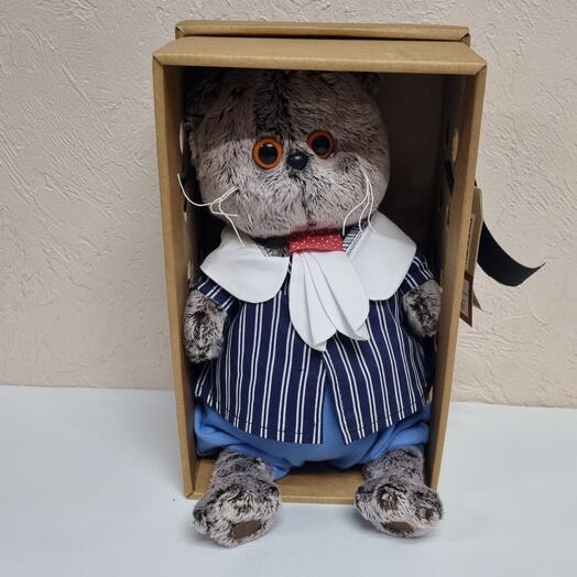 Кот Басик в костюме
