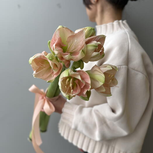 Букет из амариллисов 3 шт